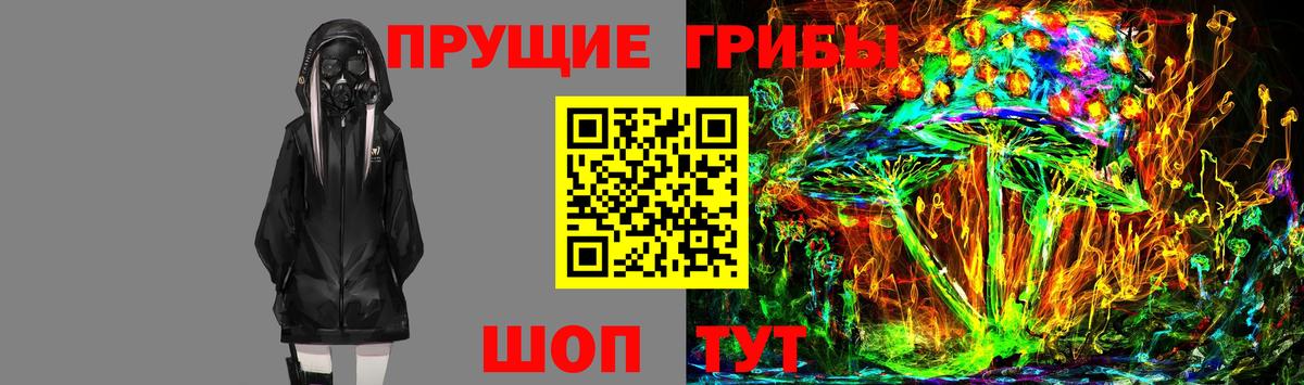 Галлюциногенные грибы Cubensis Зеленокумск